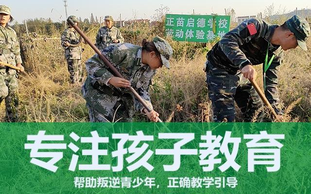 孩子叛逆有哪些危害(孩