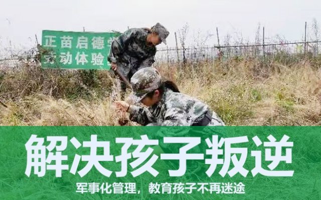 叛逆期孩子的教育(对叛